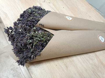 Веник травяной Душица