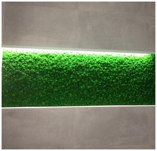 Панно из мха Ягель с подсветкой