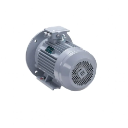 Электродвигатель ESQ PR 200 M6 GST-Б1-S12-IE2 22/1000 IM2001