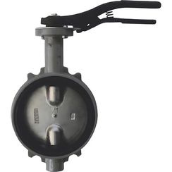 Затвор дисковый Giacomini поворотный DN150, R59WX015