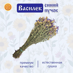 Василек пучок, 1 шт. ВАПЧ-00-001
