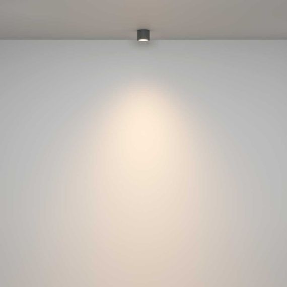 Потолочный светильник Maytoni Technical Rendo C095CL-GX53-GR