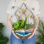 Готовый флорариум с медовой орхидеей Цефей с озером