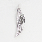Wings charm