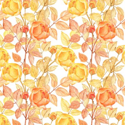 Желто-оранжевые розы на белом