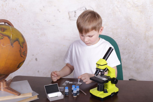 Микроскоп Levenhuk Rainbow 2L PLUS Лайм с набором Levenhuk K50