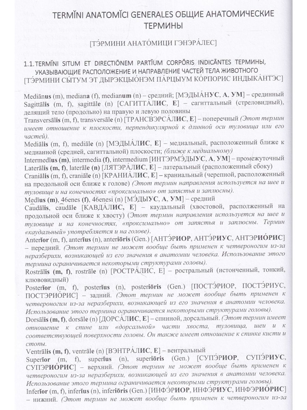 Латынь в анатомии домашних животных