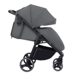 Детская коляска прогулочная CARRELLO Bravo CRL-8512 Forest Grey