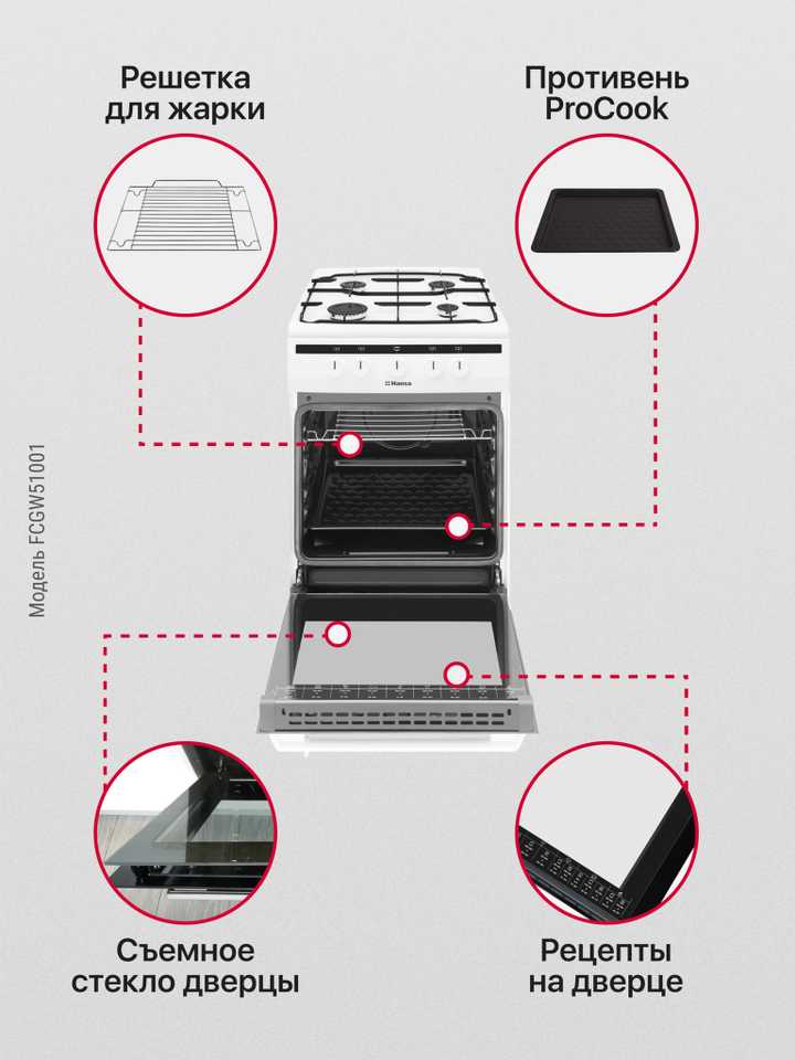 Газовая плита Hansa FCGW51001