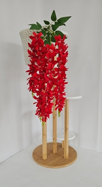 Вистерия (глициния) / Арт 1114