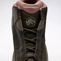 Кроссовки мужские Reebok Jurassic World X Reebok Answer DMX Giganotosaurus