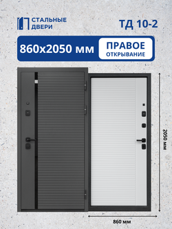 Входная дверь ТД 10-2
