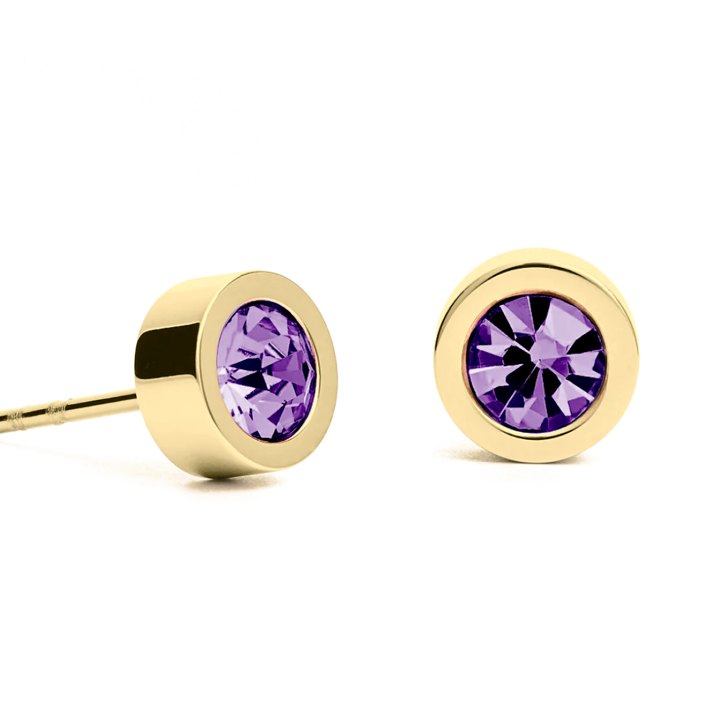 Серьги пусеты Fiore Luna Amethyst 5х2,5 мм SWE125 AM G