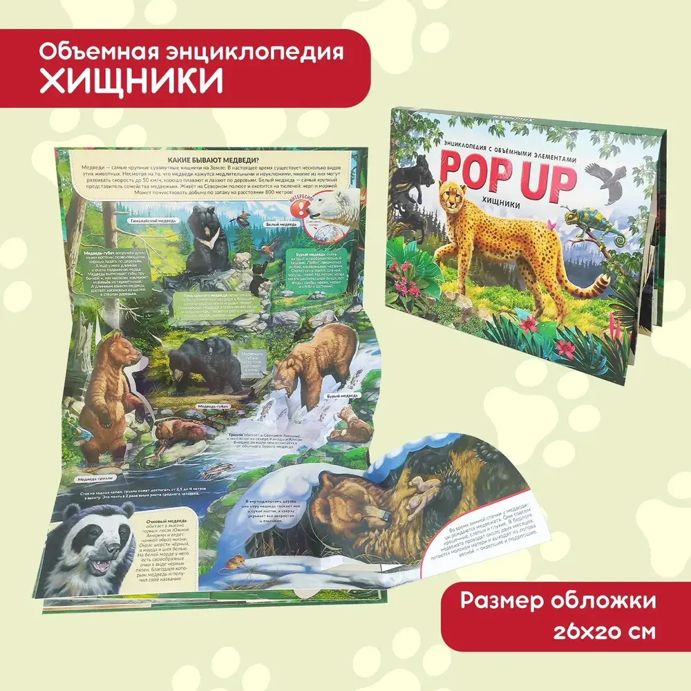 POP UP энциклопедия
