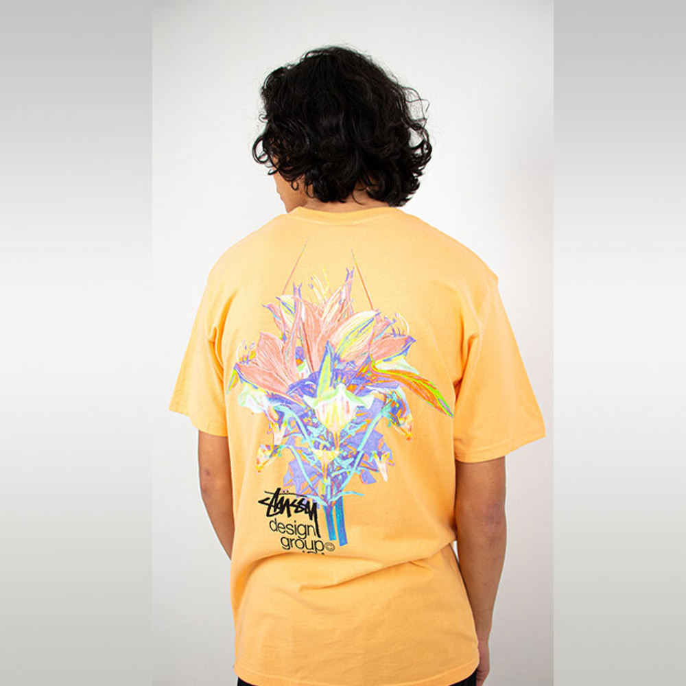 Футболки Stussy Design Group Tee T, 1904653