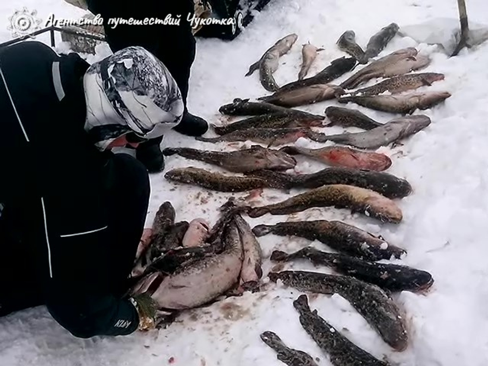 Озеро Майниц - жемчужина Чукотки (март-апрель)