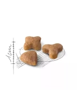 ROYAL CANIN Sensible 33 ( Роял Канин Сенсибл 33) сухой корм для кошек 15 кг.