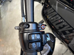 Harley-Davidson Fat Bob, 2021