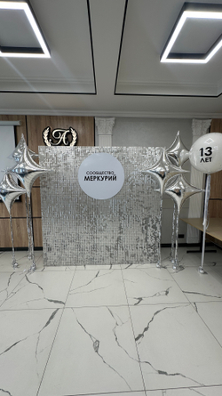 Фотозона Пайетка серебро сириус №4585