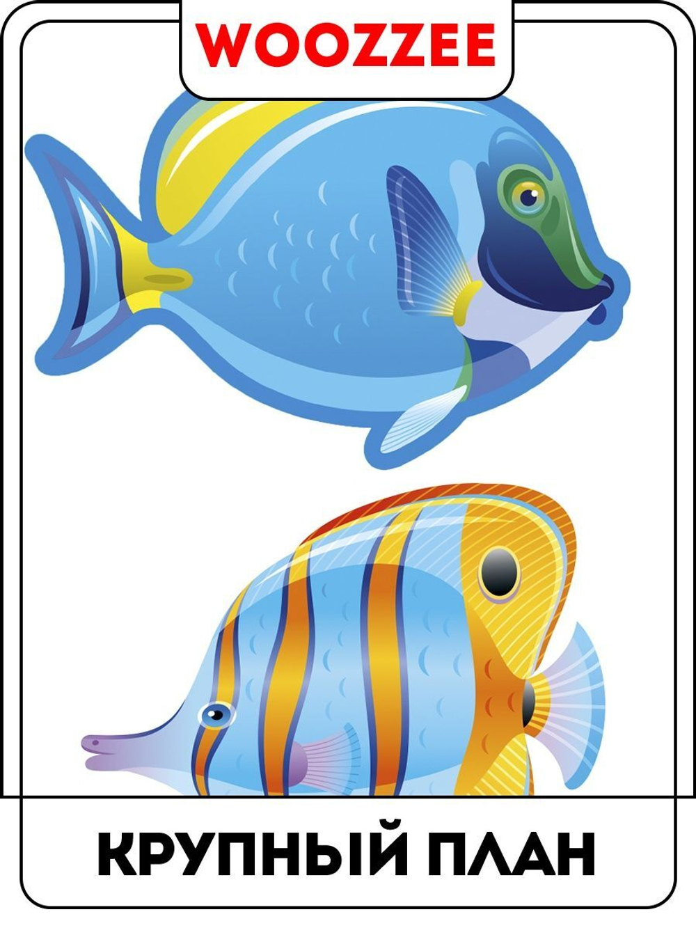 Наклейка декоративная А3 "Морские рыбки"