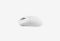 Shark X1 White_0426709105827