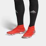 Кроссовки Adidas Nemeziz 19+ Fg