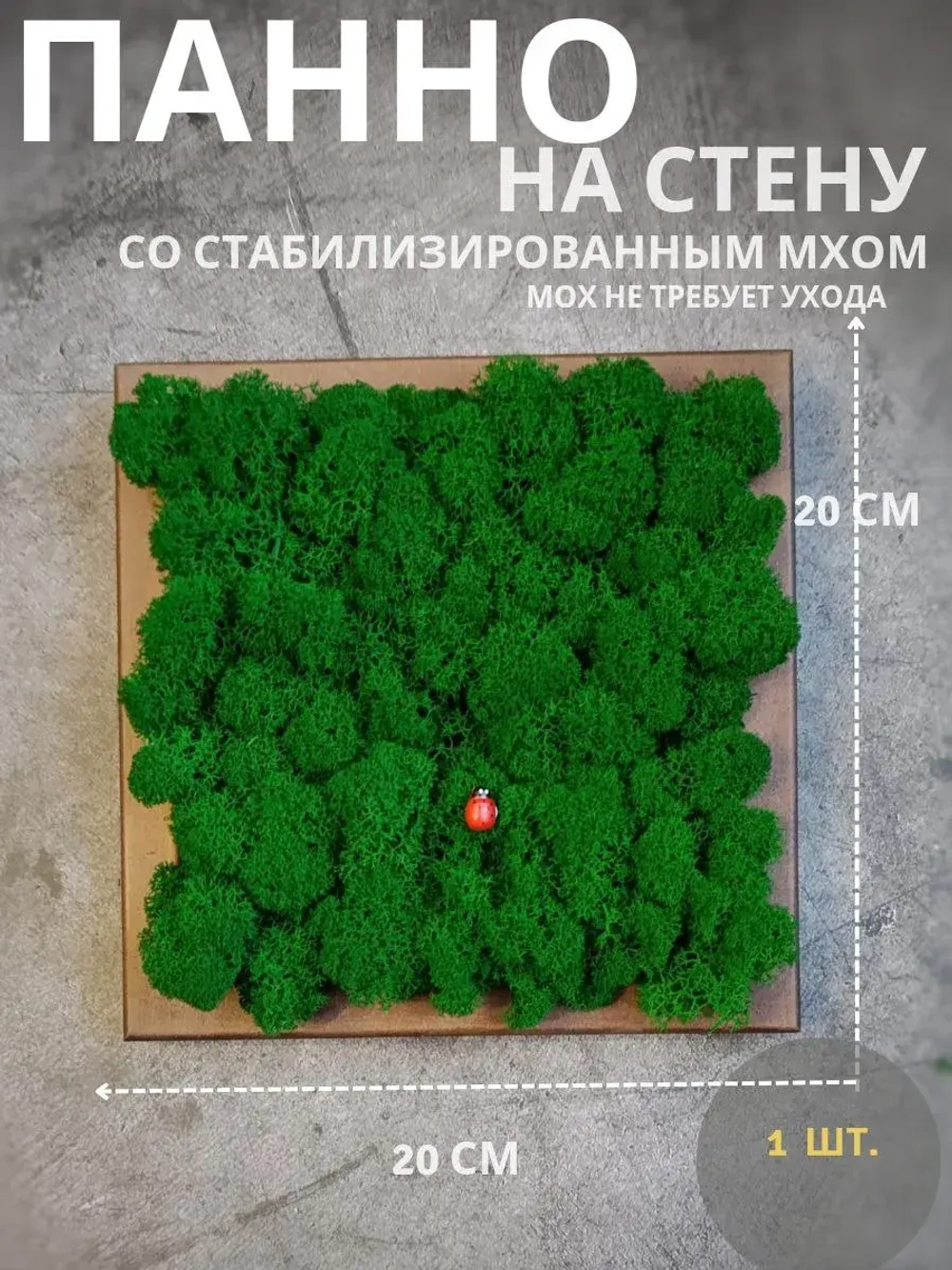 Квадратное панно на стену 20*20 из мха набор 1 шт.
