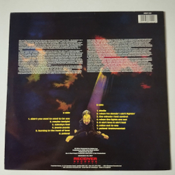 Винтажная виниловая пластинка LP A Day In The Life Of The Dummies (UK 1991)