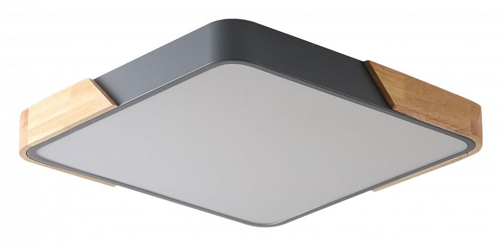 Накладной светильник Zortes Alberro ZRS.01288.36