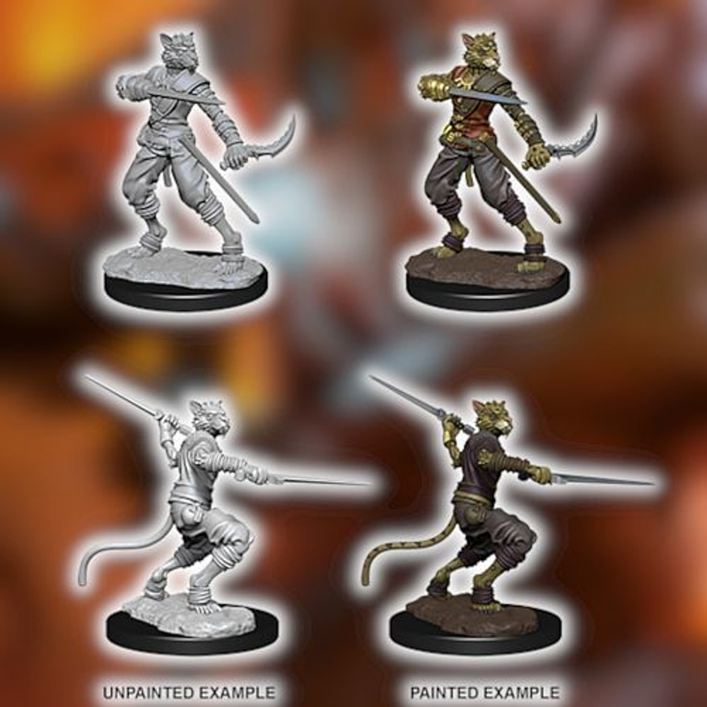 Male Tabaxi Rogue / Табакси-плуты