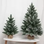 маленькая елка "Сибирский кедр"