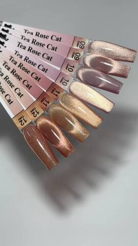 Tea rose Cat 10