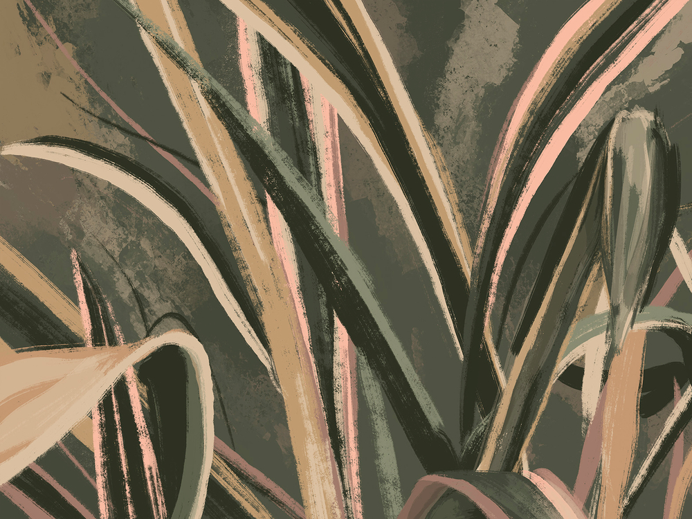 Коллекция ALIVE