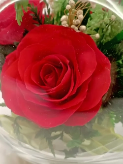 натуральные цветы в стекле, вакуум