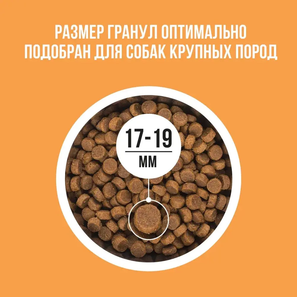 Сухой корм для собак крупных пород с индейкой, курицей, тыквой BOWL WOW 2кг