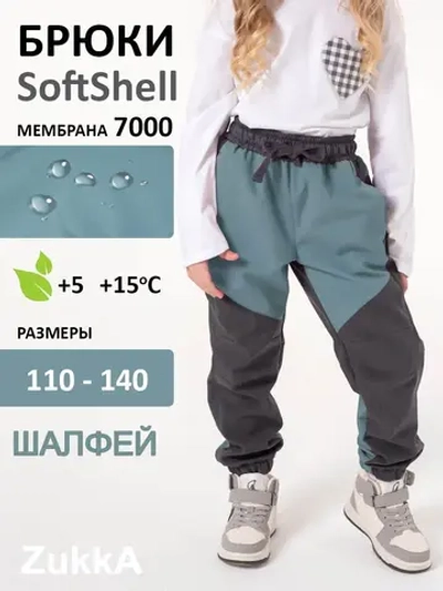 Брюки демисезонные из софтшелла