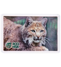 МТ- 001/02 Магнит «Новосибирский зоопарк»