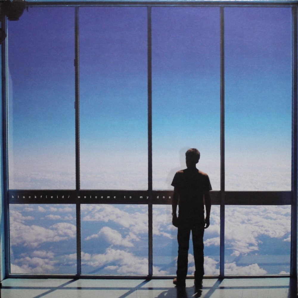 Blackfield / Welcome To My DNA (LP)