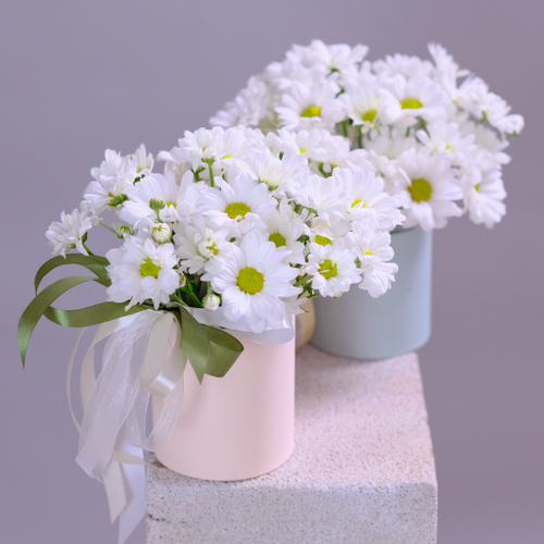 Купить Цветы ромашки в шляпной коробке #105