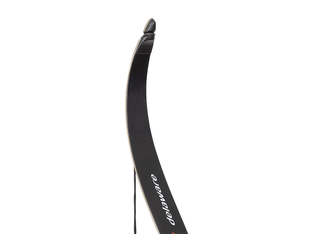 Лук рекурсивный Stinger Delaware, 30 lbs/13,6 кг, длина 56 дюймов, алюминий (SG-BOW-F-30-BLK)