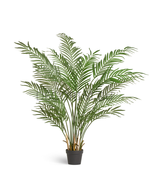 Пальма Арека Форест 140 см (18 веток) 1/1 10.011382N