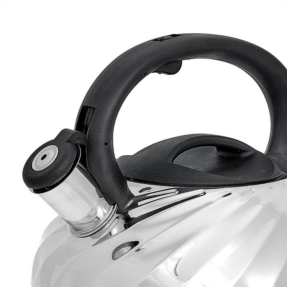 Чайник со свистком 3 л из нержавеющей стали, индукционное дно WEBBER BE-0590 черный