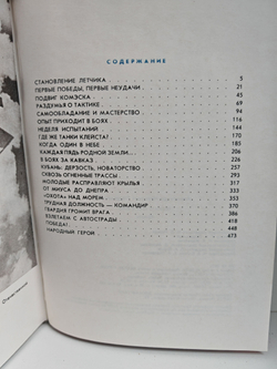 Познать себя в бою. Сталинские соколы против ассов люфтваффе 1941 - 1945
