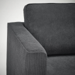 2-местный диван - IKEA PÄRUP/PARUP/ПЭРУП ИКЕА, темно-серый