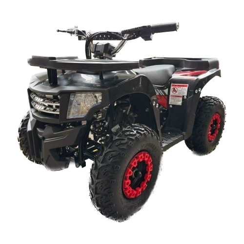 Квадроцикл IKINGI