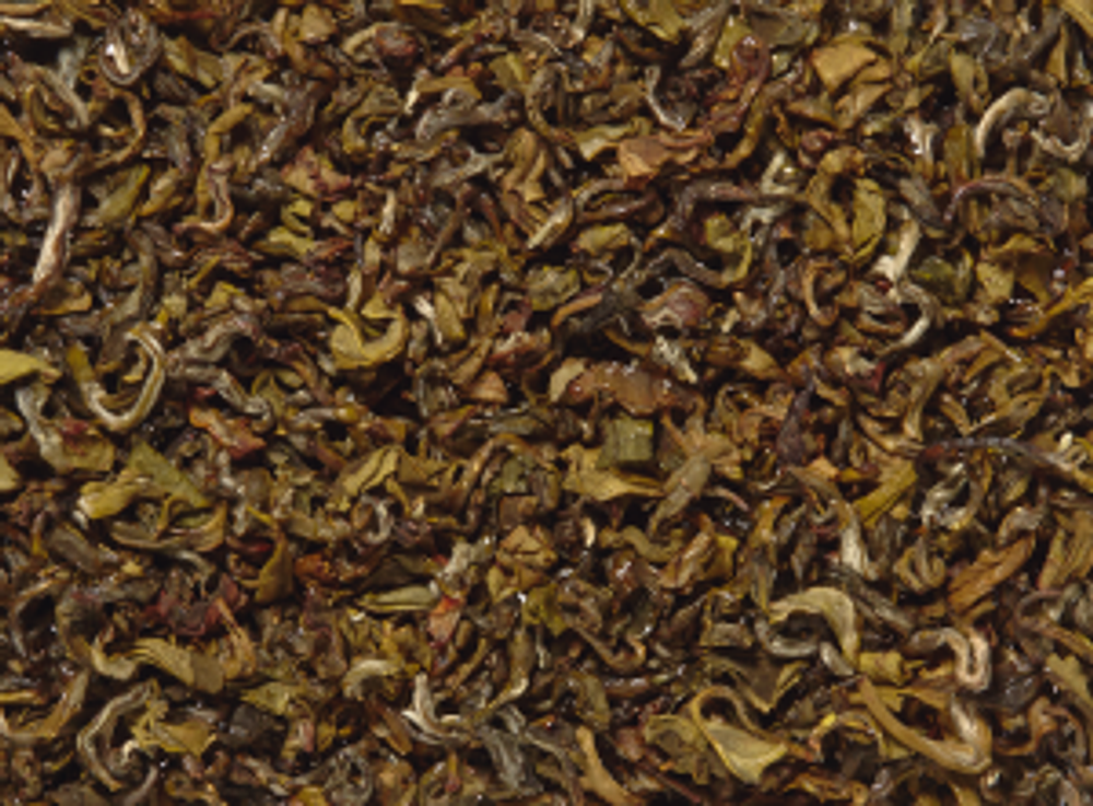 Зеленый Непал HG Джун Чиябари