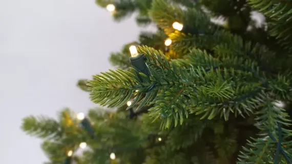 Ель Городская, 100% литая хвоя, 200 ламп, 185 см., Black Box (74545)