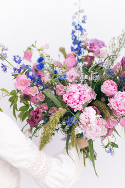 Сornflower