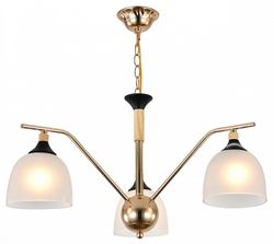 Подвесная люстра Escada Actinidia 2123/3P