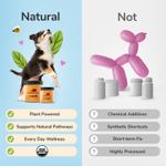 Kin+Kind, полезные какао, с клетчаткой, пребиотиками и ферментами, для собак и кошек, тыква, 226,8 г (8 унций)